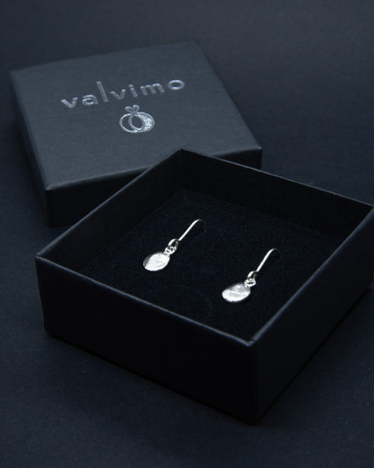 Erilaiset-korvakorut, hopea