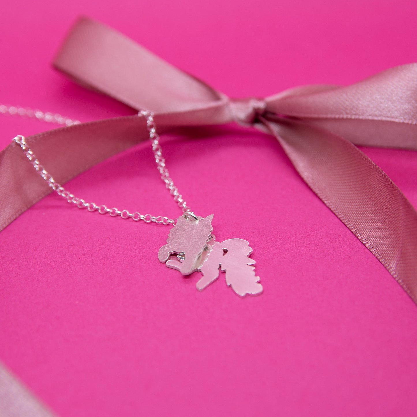 Kissa-hopeakaulakoru.