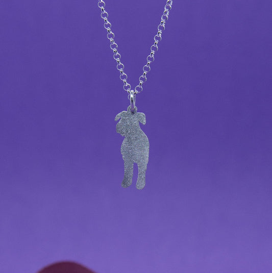 Rakas eläinystäväni-malliston hopeinen suursnautseri kaukalokoru. Korussa on mattapinta.