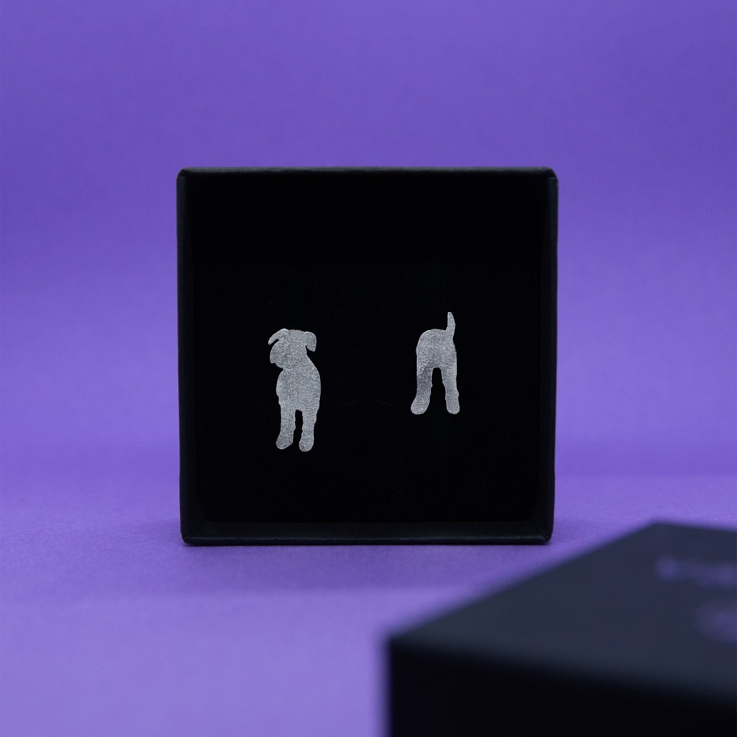 Hopeiset suursnautseri-nappikorvakorut.